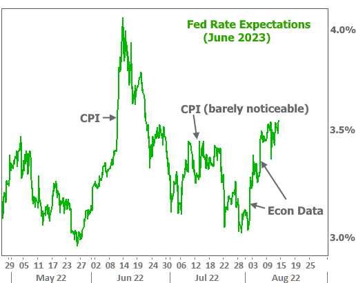Fed Rate Expectations (June 2023)
